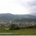 IMG_6939