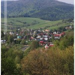 _MG_4861