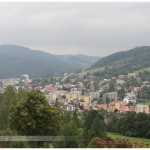 _MG_6695