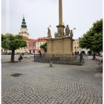 _MG_5495